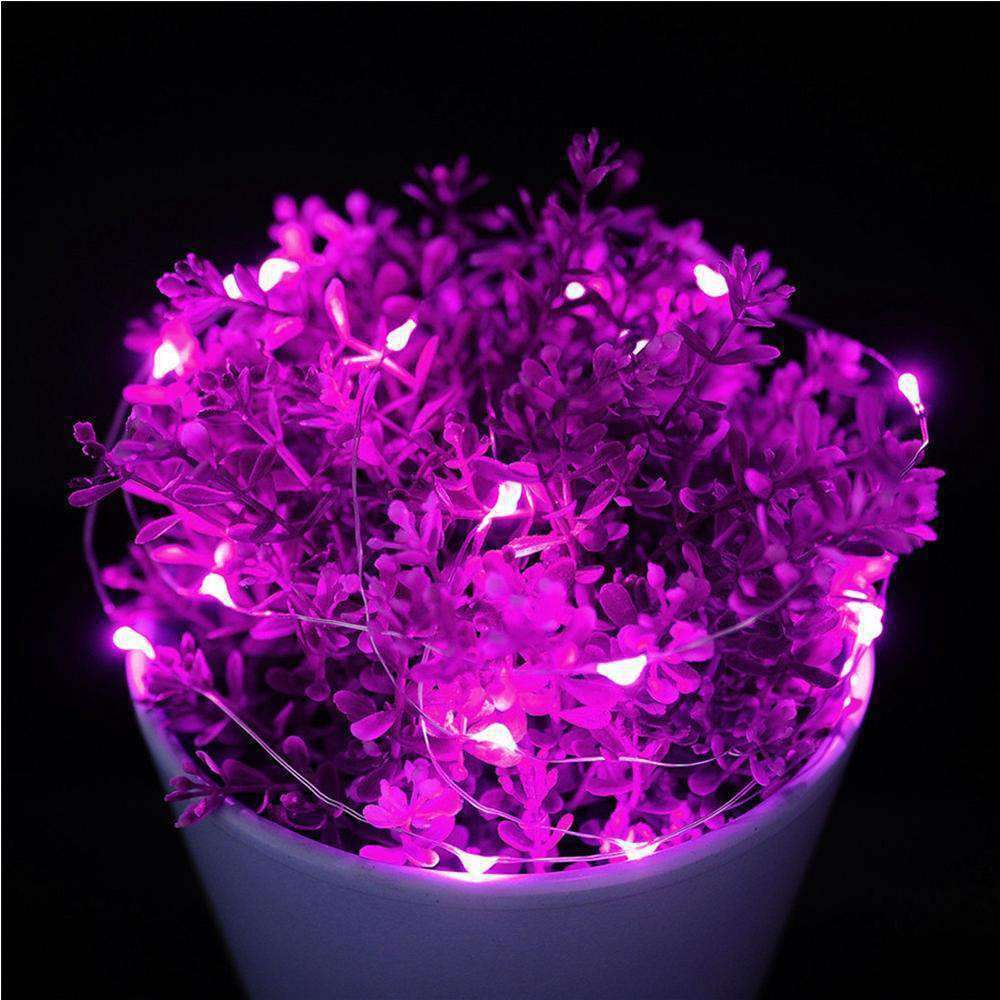 AMZER Fairy String Light 50 LED 5m Waterproof AA Battery Operated