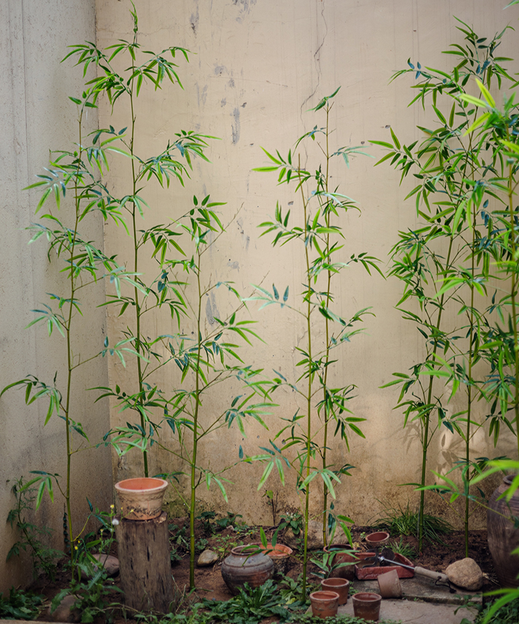 Artificial Bamboo Stem Faux Screen Plant Set of 10