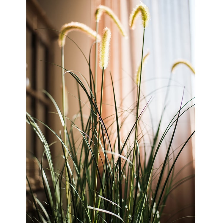 Artificial Potted Plant Timothy Grass 51" Tall