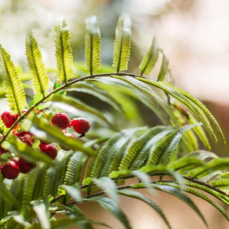 Artificial Faux Plant Chain Fern Stem 22" Tall