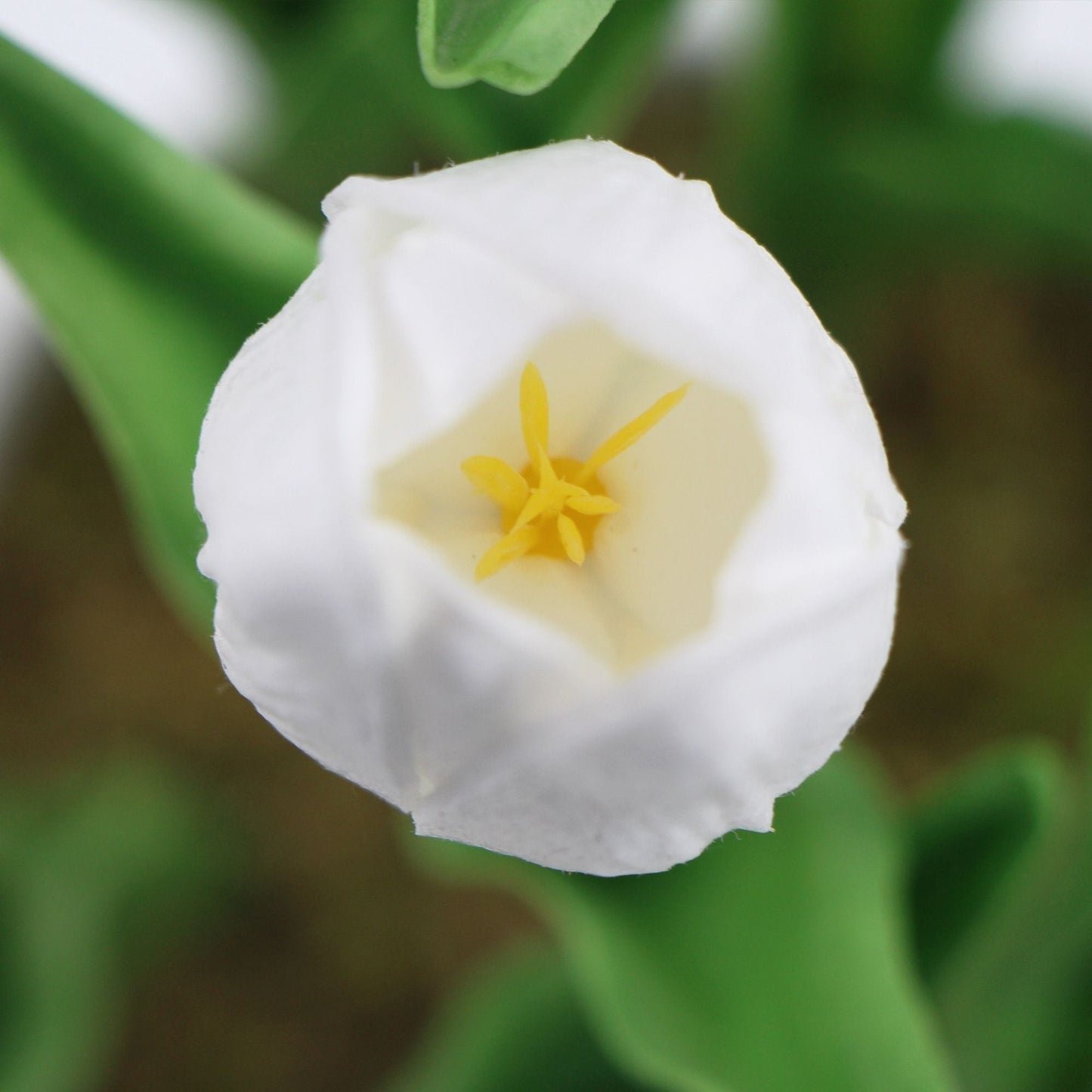 Flowering White Artificial Tulip Plant Arrangement With Ceramic Bowl